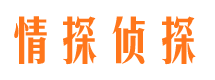 黎平侦探公司